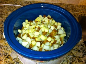 Crockpot Potato, Corn and Cheese Chowder
