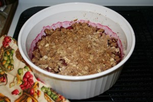 Raspberry, Blueberry, Nectarine Cobbler