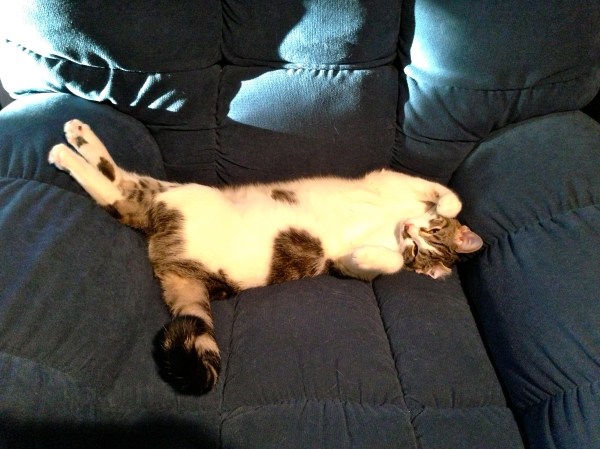 Alex in his day-time chair.