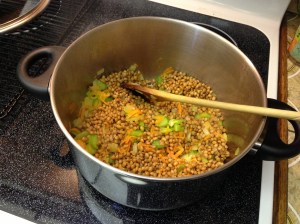 Quick and Easy Lentils and Beans