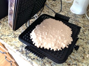 Pour onto hot griddle and cook until golden brown.