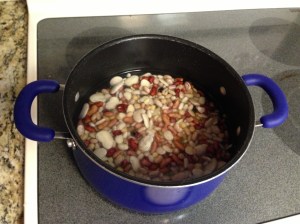 Place the beans in a large pot and cover with water. Bring to a boil on medium until beans are soft - 30-45 minutes.